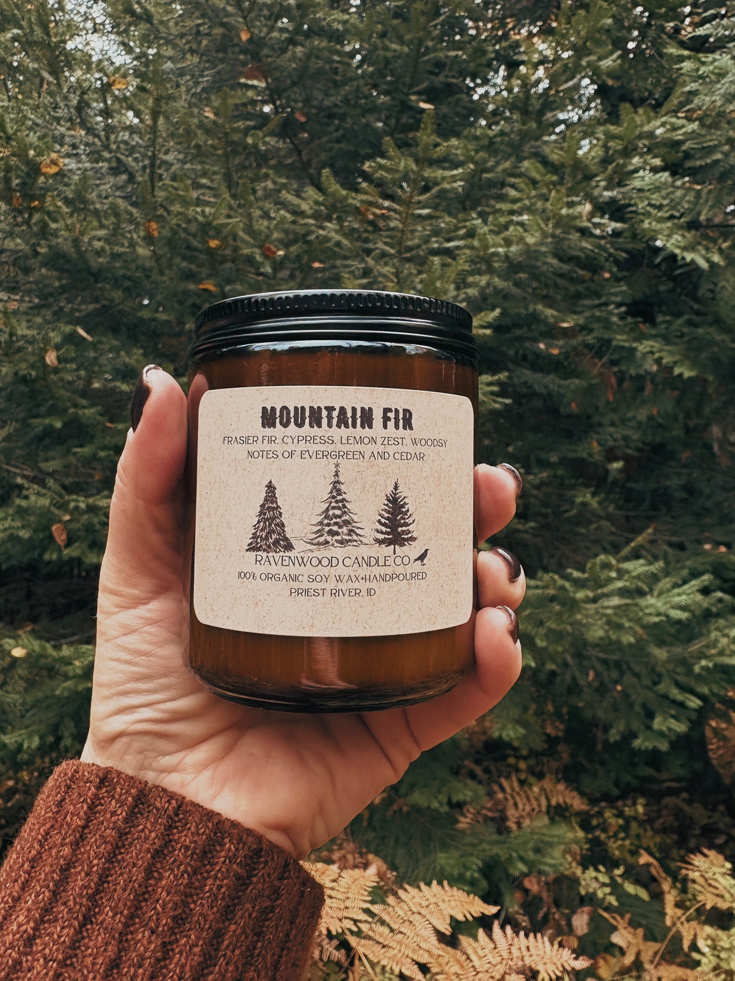 Mountain Fir