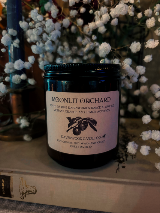 Moonlight Orchard