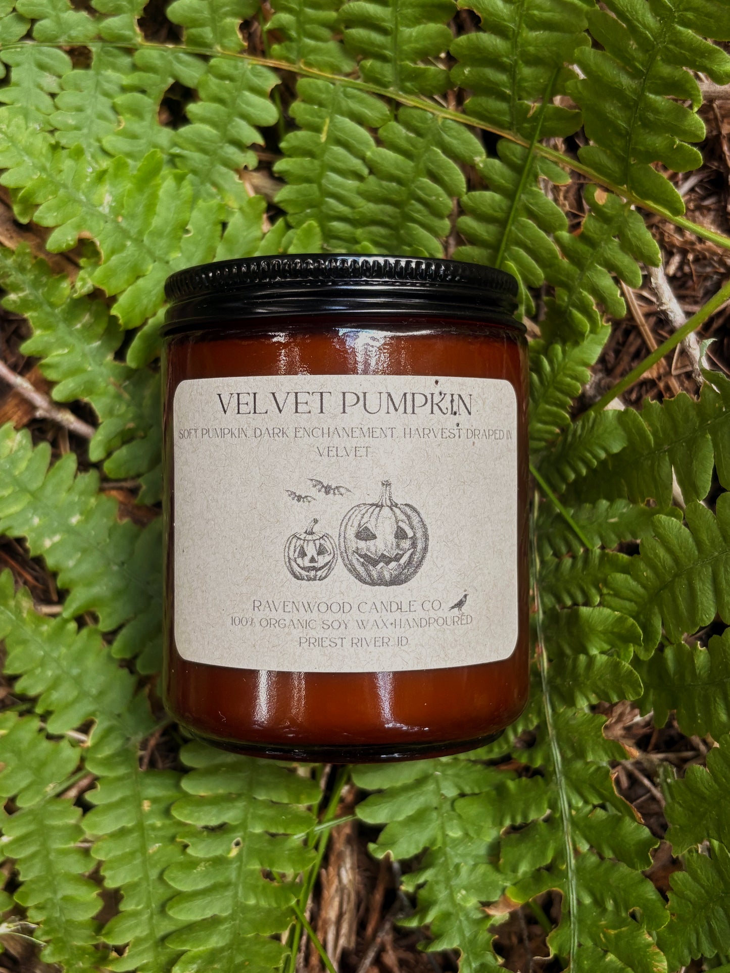 Velvet Pumpkin Soy Candle 7 oz.