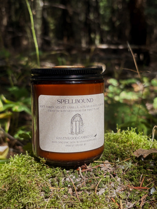 Spellbound Soy Candle 7 oz.